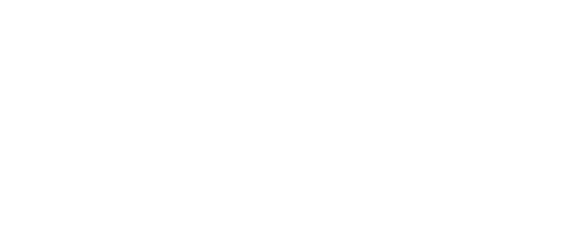 Startup Verband logo